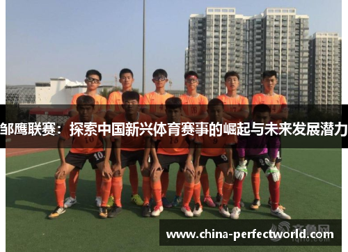 邹鹰联赛：探索中国新兴体育赛事的崛起与未来发展潜力